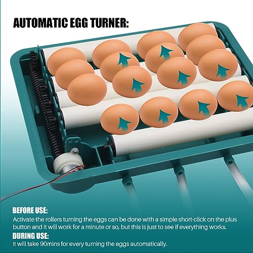 Incubadora de huevos para incubar huevos 12 incubadoras inteligentes automáticas Incubadora de pollos Agua autoañadible Gira automática para pollo, pato, codorniz, loro, pájaros, huevo