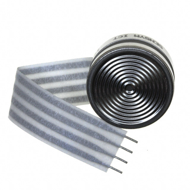 Honeywell Sensing and Productivity Solutions 19C030PV2K 19 mm Montaje en placa Vacío