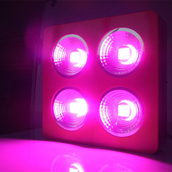 Panel de luz LED de cultivo HFS 800W=200X4W con espectro completo IR para plantas de flores medicinales