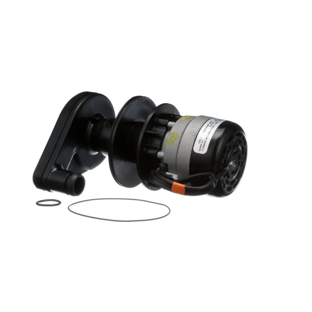 Nueva bomba de agua compatible con Manitowoc 8251129 MAN8251129 115 V
