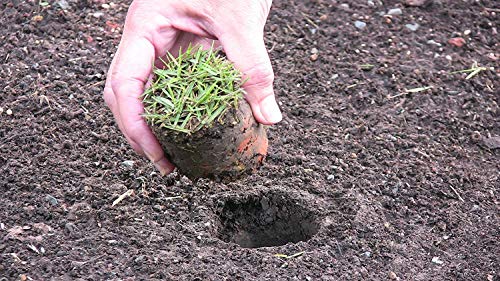 Herramientas para plantación Proplugger 5 en 1 para césped y huerta