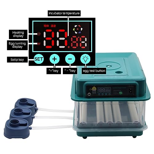 Incubadora de huevos para incubar huevos 12 incubadoras inteligentes automáticas Incubadora de pollos Agua autoañadible Gira automática para pollo, pato, codorniz, loro, pájaros, huevo