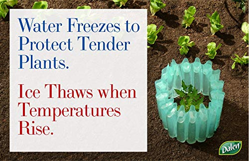Dalen Gardeneer Season Starter - Protector de plantas aislado para la temporada temprana - Protector contra heladas para clima frío - Forma de relleno fácil para una siembra óptima - 18 x 17 pulgadas