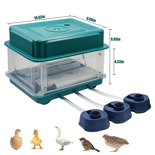 Incubadora de huevos para incubar huevos 12 incubadoras inteligentes automáticas Incubadora de pollos Agua autoañadible Gira automática para pollo, pato, codorniz, loro, pájaros, huevo
