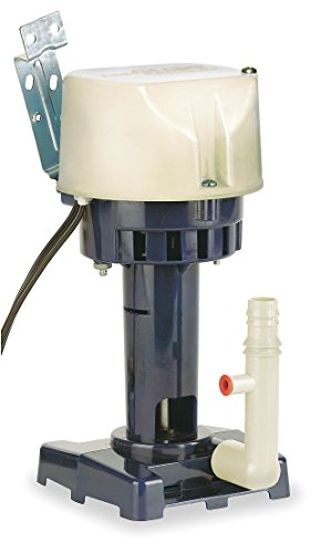 Little Giant Serie CP2-115, 1/50 HP, 115 V, 502 GPH (1900 L/H), Bomba para enfriadores evaporativos, cable 1.82 mts, Color azul, 541005