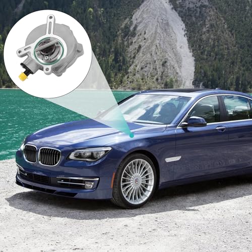 11667545384 Bomba de aspiradora de refuerzo de freno 11667635657 para BMW (motor 4.4L/4.8L/6.0L) X5 545i 550i 650i 645ci 745i 745Li 750i 750Li 760Li E53 EEE560 E65 E66 E70 V8 V12