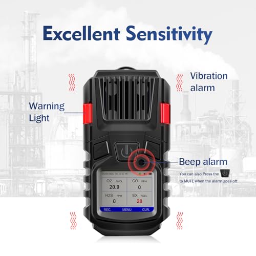 Detector de gas, 4 monitores de gas, detector de gas múltiple EX O2 H2S con clip, detector de gas recargable de 3000 mAh, vista de registros y curvas, monitor de gas portátil de 4 gases, detector de