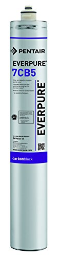 Everpure EV961816 7CB5 - Cartucho de filtro