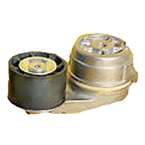 2178938 nuevo motor de Caterpillar Cat Belt tensioner C15 C18 3406 3456 D118 – 2623