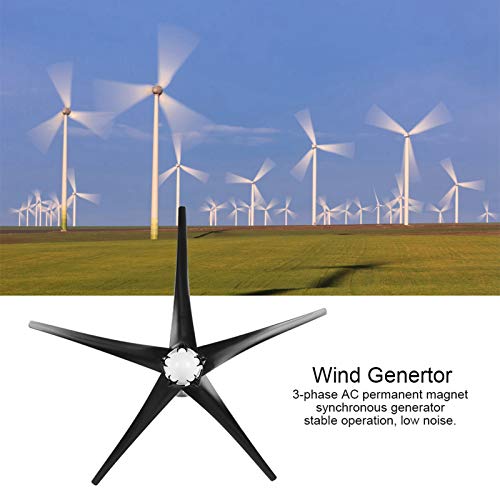 1600W molino de viento generador de 5 palas pequeñas turbinas de viento equipo de energía industrial(Negro 12V)
