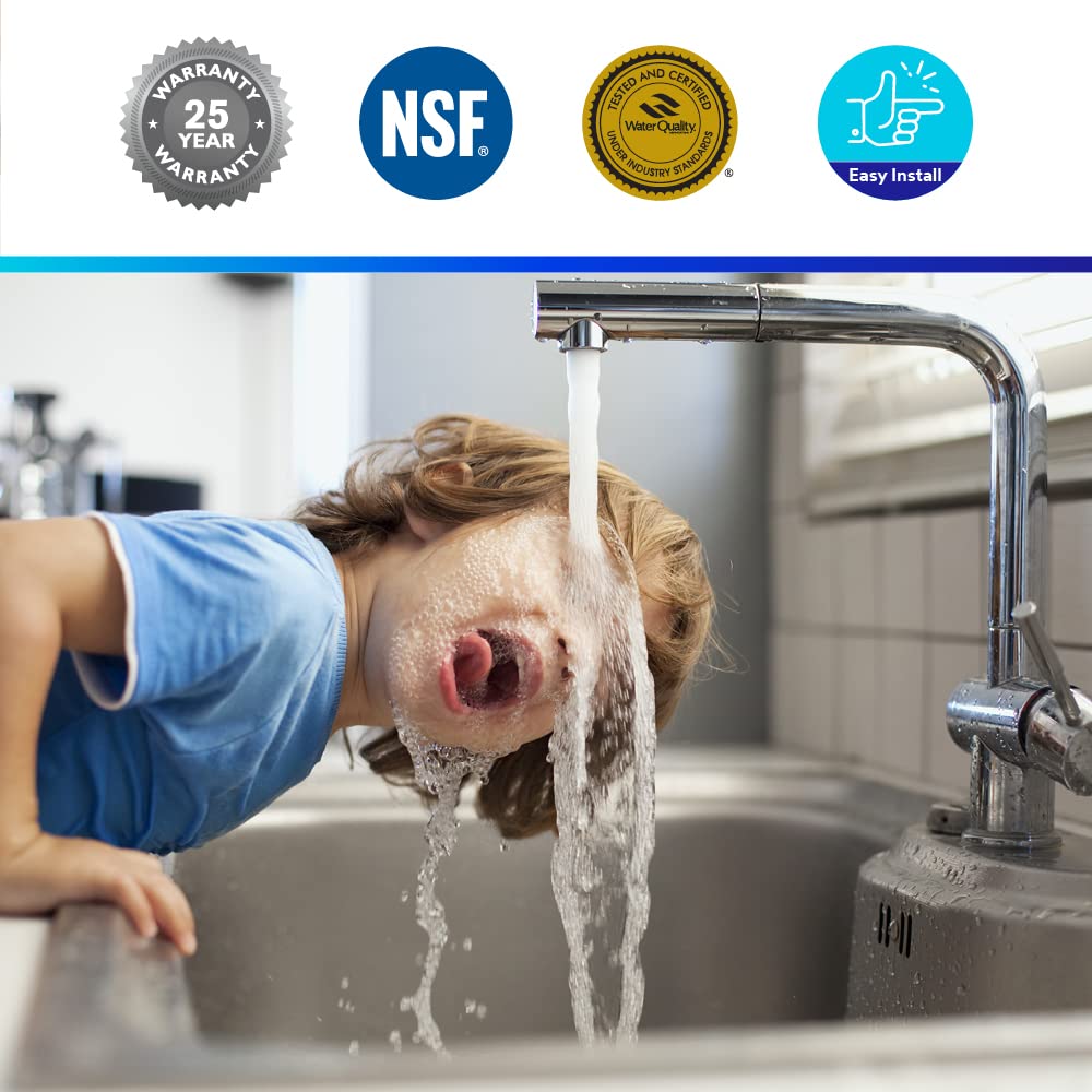 3M Aqua-Pure Sistema de filtro de agua sanitario de cambio rápido AP902, reduce los sedimentos