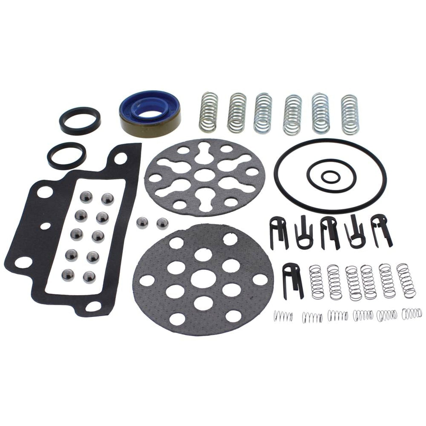 Kit Completo de reparación de Bomba de Tractor 1101-1009 (para Ford New Holland Tractor-Ckpn600A)