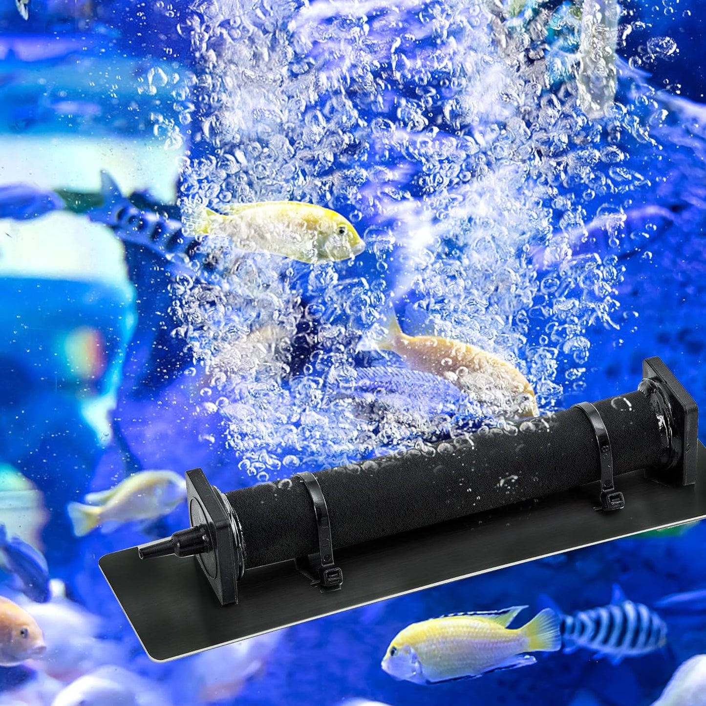 Kit de aireación y aireación de estanque, kit de bomba de aire de estanque séptico para estanques de hasta 8000 galones, sistema de aireación de estanque todo en uno, línea de aire ponderada