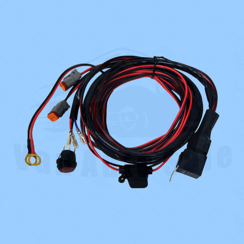 Wire Harness D2 (Pair) RIGID 40196