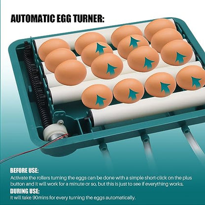 Incubadora de huevos para incubar huevos 12 incubadoras inteligentes automáticas Incubadora de pollos Agua autoañadible Gira automática para pollo, pato, codorniz, loro, pájaros, huevo