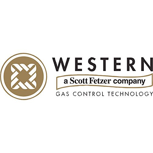 Western Enterprises BR4HG Infladores profesionales de globos de látex/látex, helio, CGA 580, entrada de 3,000 psi