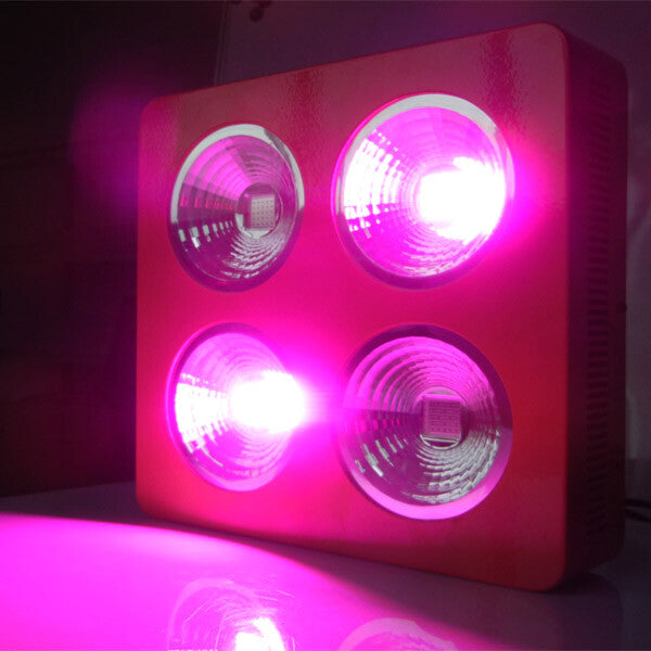 Panel de luz LED de cultivo HFS 800W=200X4W con espectro completo IR para plantas de flores medicinales
