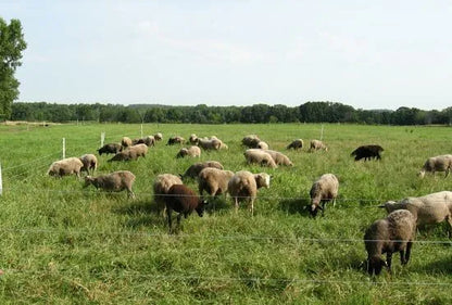 PW5000XD Energizador de cercas Power Wizard Dual-Power / 2 años de garantía del fabricante