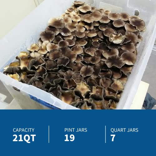 Autoclave Autoclave automática de acero inoxidable de 25 cuartos de galón para cultivo de hongos, tarro y equipo