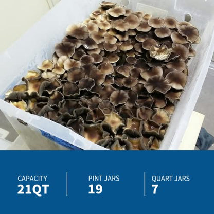 Autoclave Autoclave automática de acero inoxidable de 25 cuartos de galón para cultivo de hongos, tarro y equipo