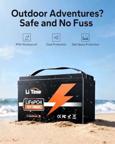 LiTime AP-100 - Batería de ciclo profundo LiFePO4 del grupo 31 de 12V 100Ah para RV