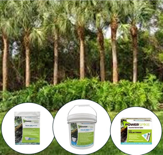 Fertilizante de palmera Power Strike (4 libras) con cuchara de medición gratuita. Fortificado con hierro (Fe). Formulado para abordar las deficiencias comunes de la palma. Incluye micronutrientes 93330
