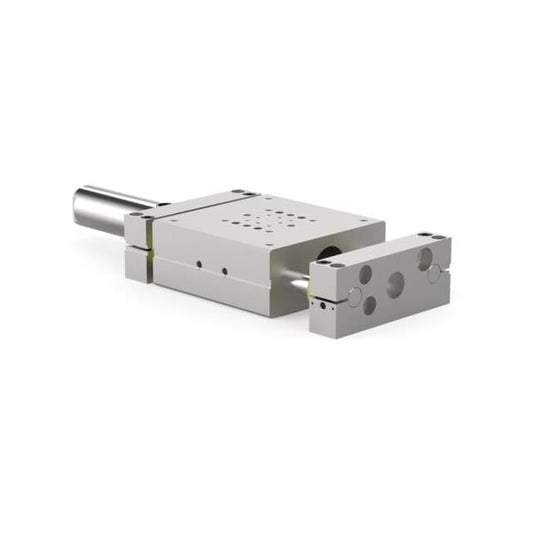 DESTACO DLB-25M-N-B-500-S - Actuador lineal Cilindro guiado