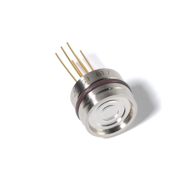 Phoenix Sensors PPS06-300G1S PPS06 - Medidor