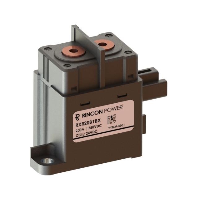 Rincon Power RXR20B1BX RXR20 Montaje de chasis 24VCC
