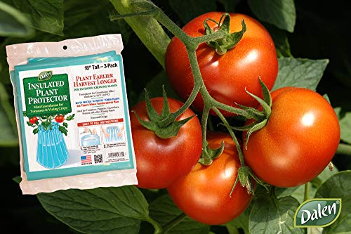 Dalen Gardeneer Season Starter - Protector de plantas aislado para la temporada temprana - Protector contra heladas para clima frío - Forma de relleno fácil para una siembra óptima - 18 x 17 pulgadas