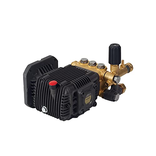 Canpump CF 2530 EH: 2500 psi @ 2.9 US gpm, 5/8-in eje bomba de lavado a presión