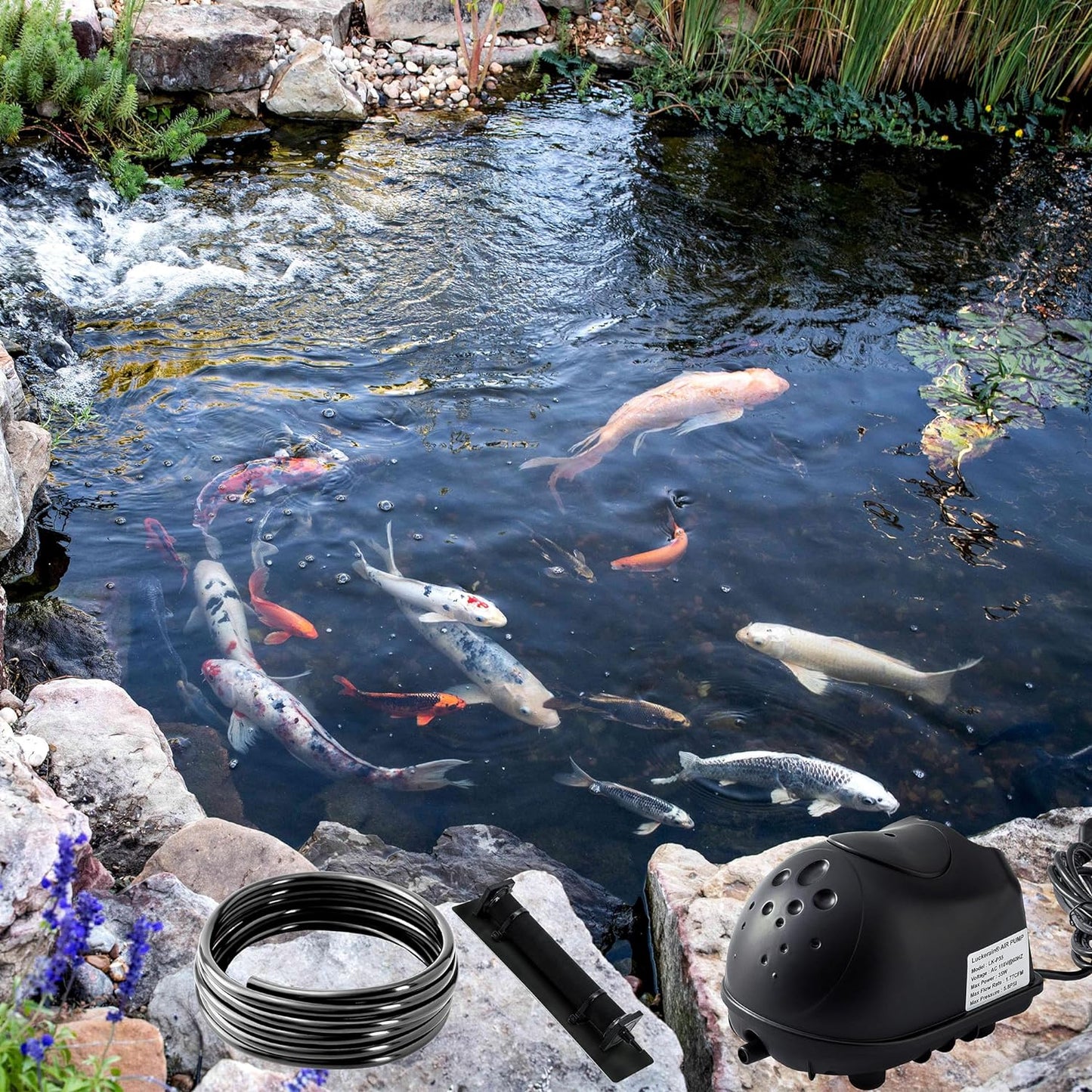 Kit de aireación y aireación de estanque, kit de bomba de aire de estanque séptico para estanques de hasta 8000 galones, sistema de aireación de estanque todo en uno, línea de aire ponderada