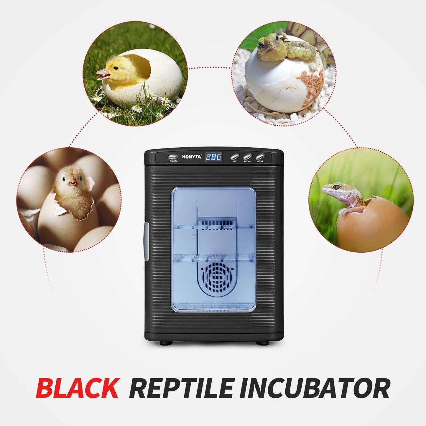 RYFT Incubadoras para incubar huevos, incubadora portátil de laboratorio científico de reptiles de 25 litros con calefacción y enfriamiento de 41.0 °F-140.0 °F, 12 V/110 V para reptiles pequeños (negro)