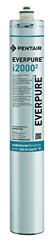 Everpure EV9612-22 i2000^2 Cartucho de filtro