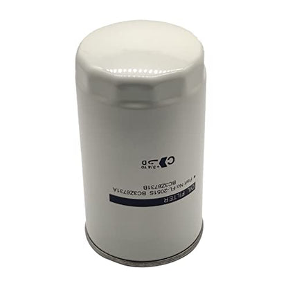 Kit de cambio de filtro FA2031 Filtro de aire del motor, filtro de combustible FD4625AA, filtro de aceite FL2051S