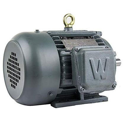 WorldWide Electric Corporation Worldwide Electric - Motor de marco en T PEWWE2-18-145T, GP, TEFC, rígido, 3 PH, 145T, 208-230/460V, 3.3 FLA