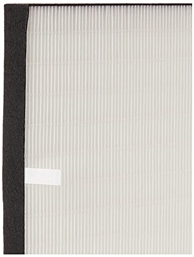 Sharp FZF60HFU True Hepa Replacement Filter for FP-F60UW