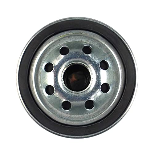 Kohler 12 050 01-S - Filtro de aceite para motor CH18