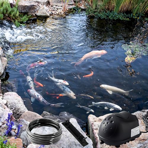 Kit de aireación y aireación de estanque, kit de bomba de aire de estanque séptico para estanques de hasta 8000 galones, sistema de aireación de estanque todo en uno, línea de aire ponderada