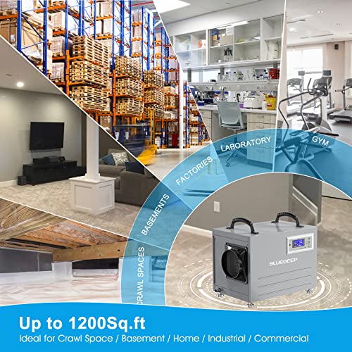 BLUEDEEP - Deshumidificador de espacio para sótano/rastreo, 120 pintas, deshumidificador comercial con manguera de drenaje para almacén, almacenamiento de daños por agua, 1 año de garantía