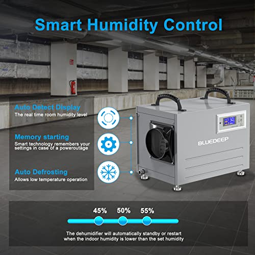 BLUEDEEP - Deshumidificador de espacio para sótano/rastreo, 120 pintas, deshumidificador comercial con manguera de drenaje para almacén, almacenamiento de daños por agua, 1 año de garantía