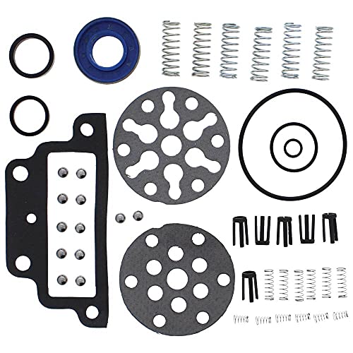 Kit Completo de reparación de Bomba de Tractor 1101-1009 (para Ford New Holland Tractor-Ckpn600A)