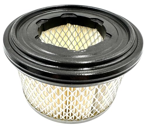 Original Lombardini-Kohler cartucho de filtro de aire OEM ED0021753060-S 2175.306