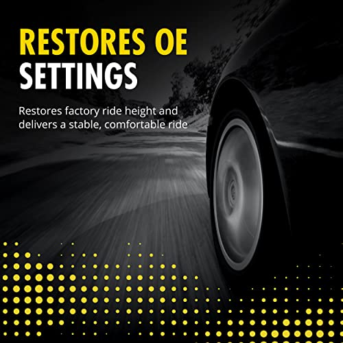 Monroe Amortiguadores y puntales Monroe 40051 Amortiguador