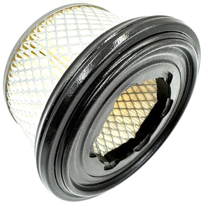 Original Lombardini-Kohler cartucho de filtro de aire OEM ED0021753060-S 2175.306