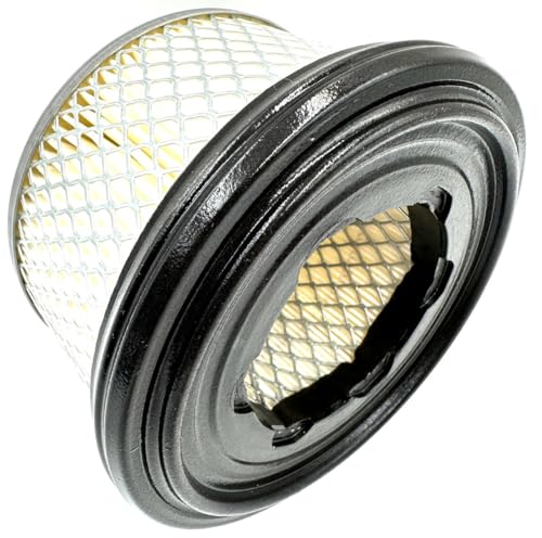 Original Lombardini-Kohler cartucho de filtro de aire OEM ED0021753060-S 2175.306