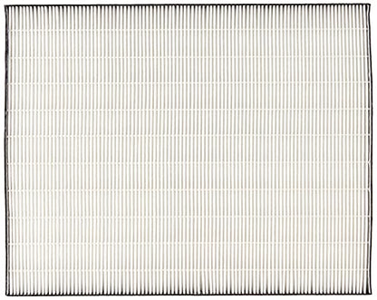 Sharp FZF60HFU True Hepa Replacement Filter for FP-F60UW