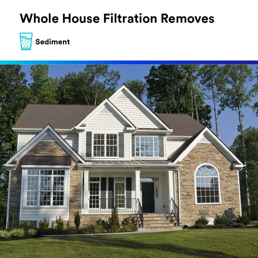 Aqua-Pure El sistema de filtro de agua sanitario AP902 del cambio rápido de toda la casa, reduce el sedimento #5621101