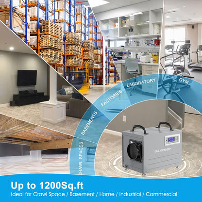 BLUEDEEP - Deshumidificador de espacio para sótano/rastreo, 120 pintas, deshumidificador comercial con manguera de drenaje para almacén, almacenamiento de daños por agua, 1 año de garantía