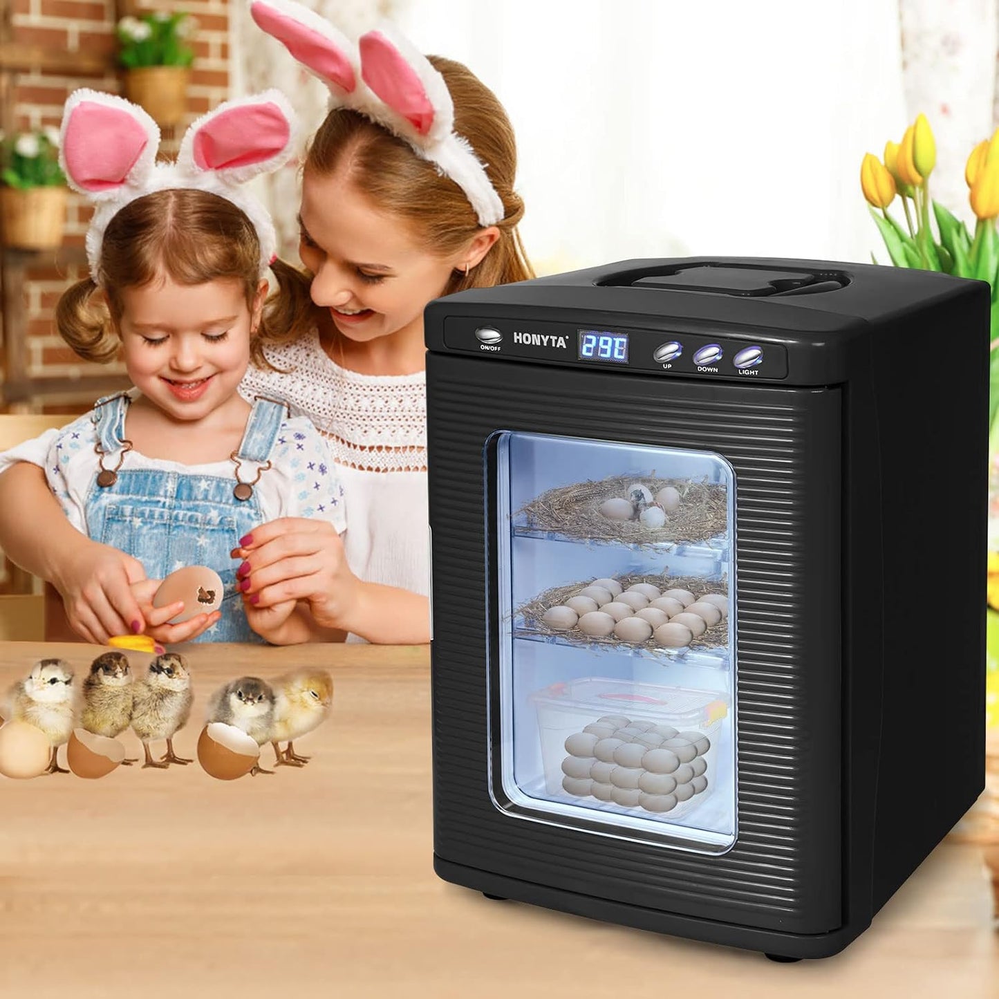 RYFT Incubadoras para incubar huevos, incubadora portátil de laboratorio científico de reptiles de 25 litros con calefacción y enfriamiento de 41.0 °F-140.0 °F, 12 V/110 V para reptiles pequeños (negro)